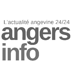 Angers Info